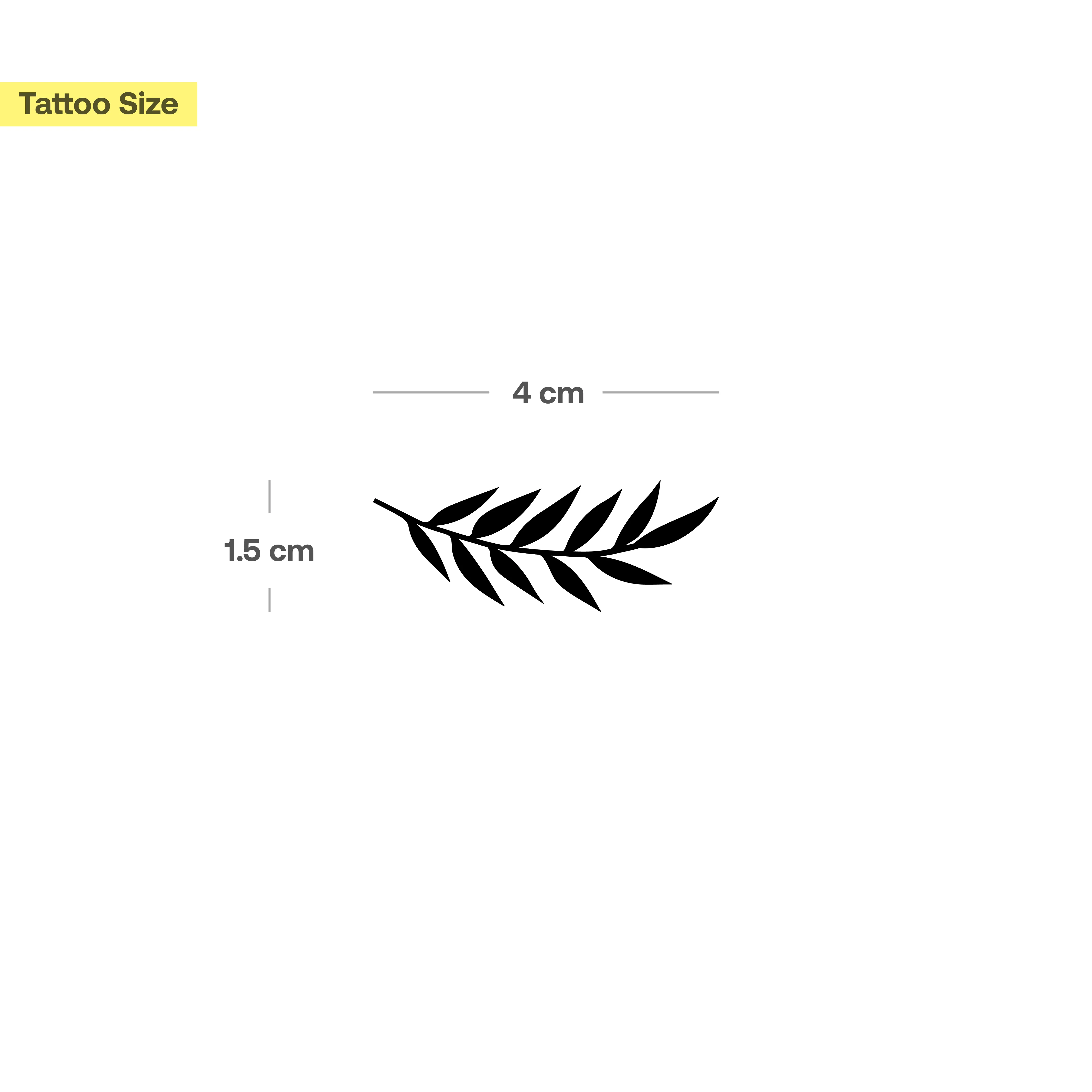 Tatouage Branche de Frêne  - Image 3