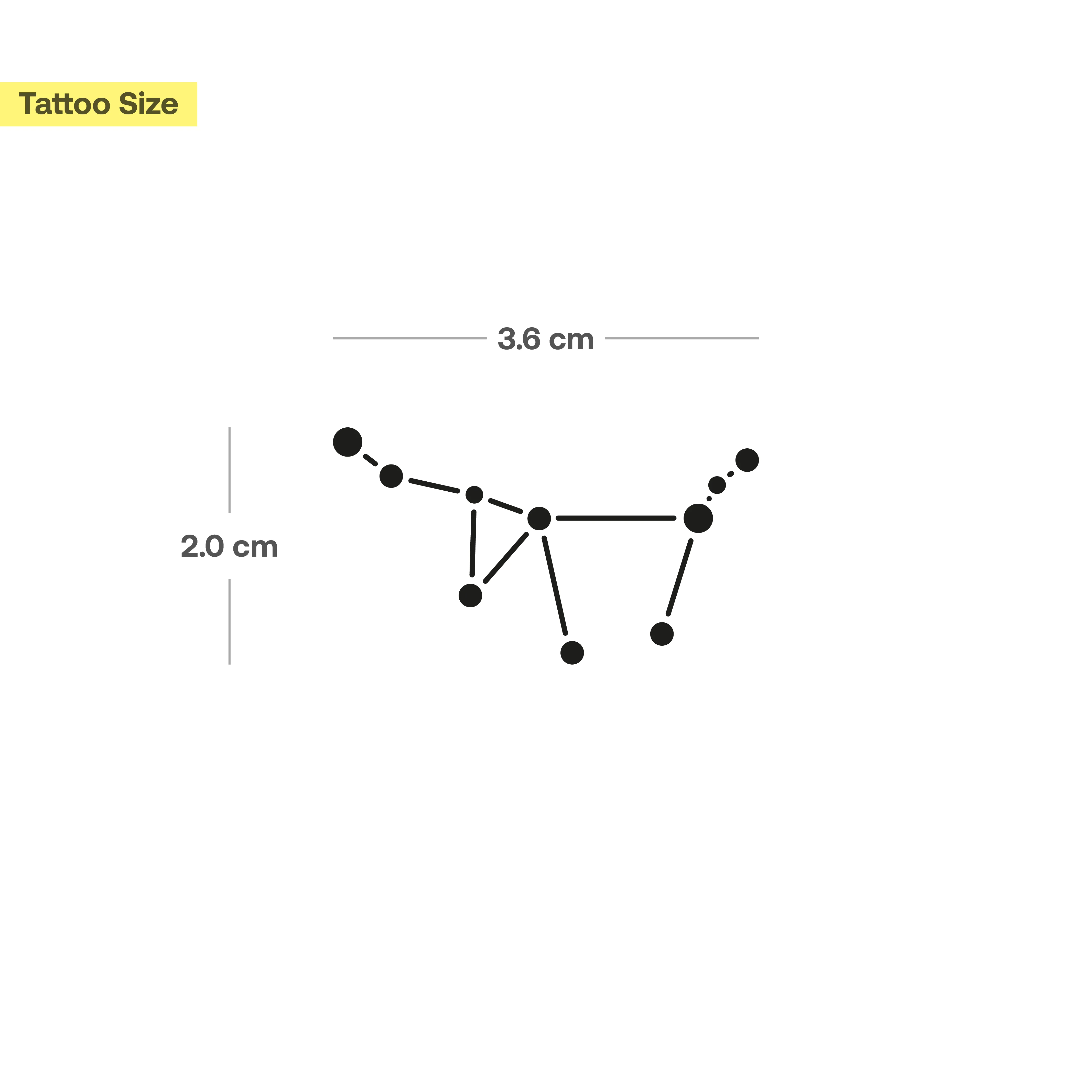 Tatouage Constellation du Capricorne  - Image 3