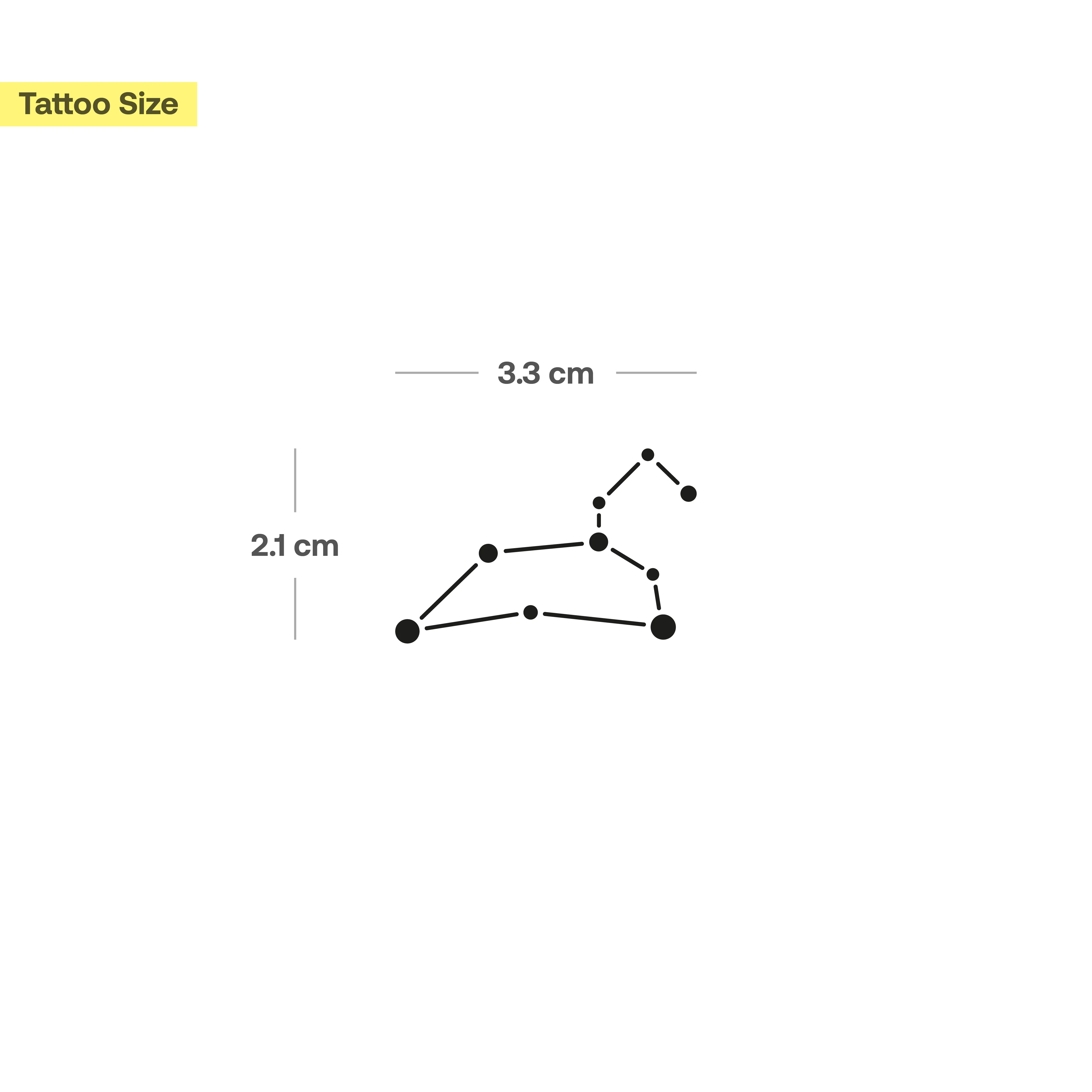 Le tatouage de la constellation du Lion  - Image 3