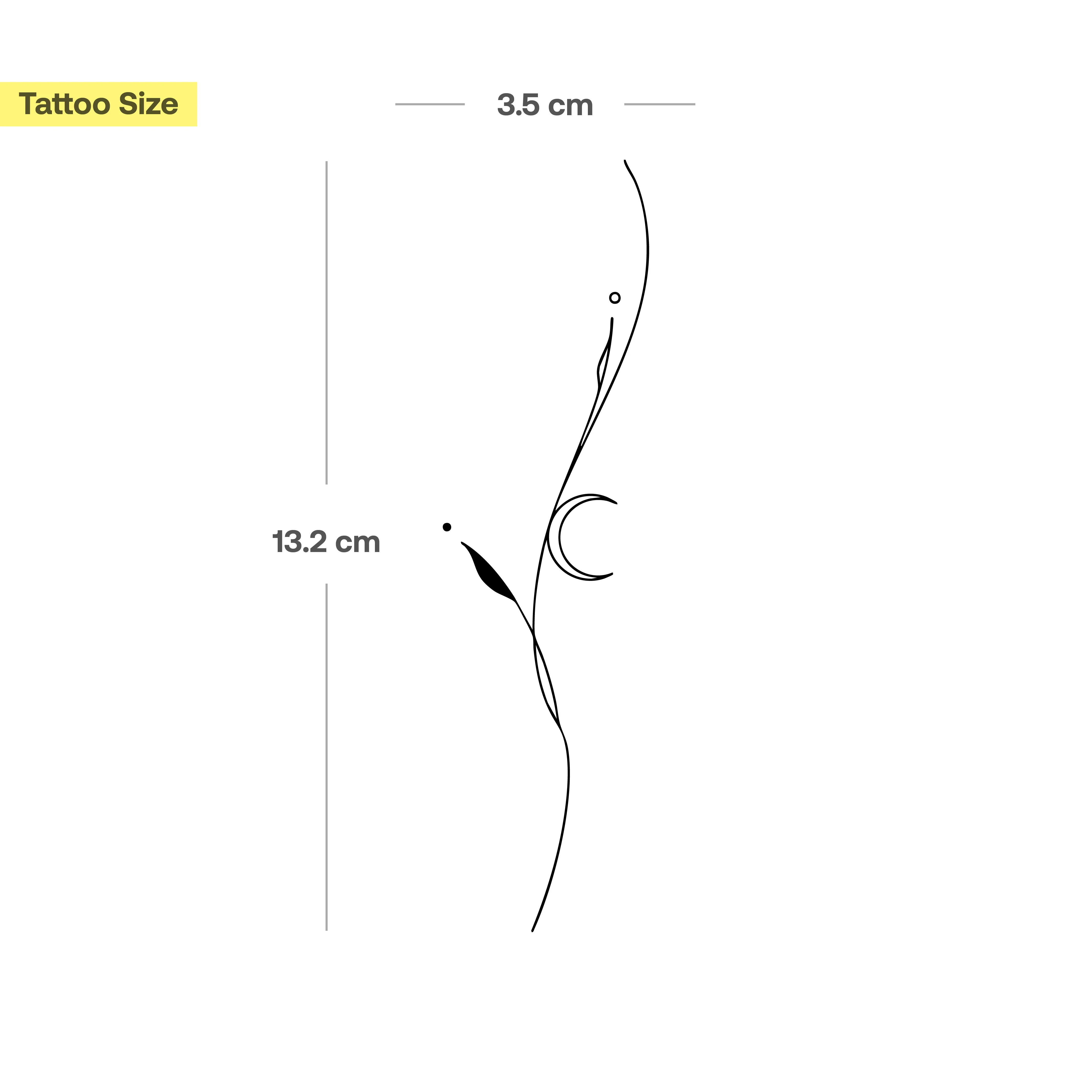 Tatouage Plante Filigrane avec Lune - Image 3